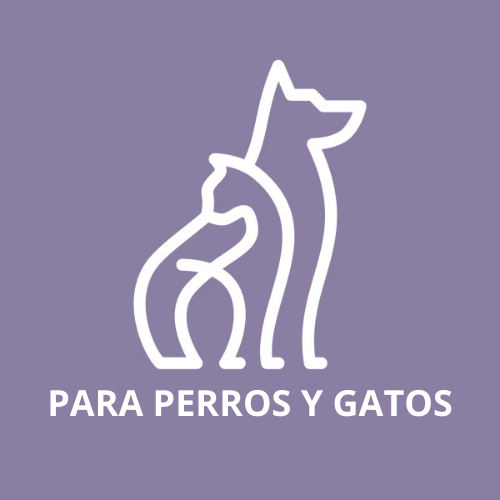 SPA Perros y Gatos459
